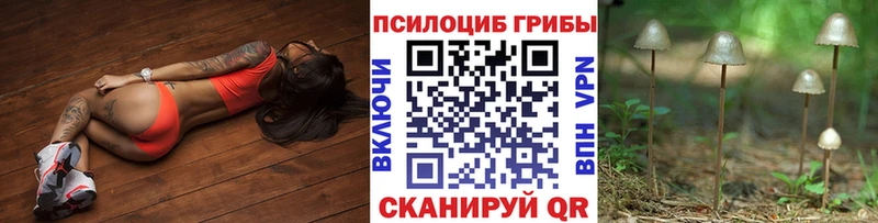 Галлюциногенные грибы ЛСД  Купить  Нарткала 